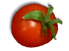Captcha image 2242